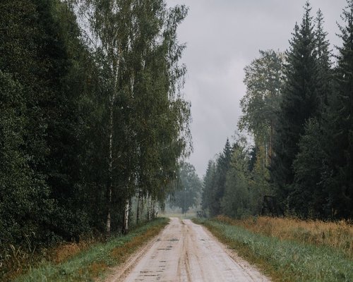 A quiet forest path in Lithuania during early autumn